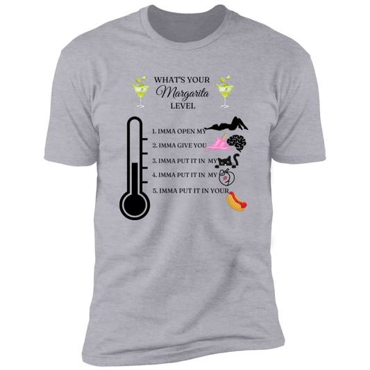 WHAT'S YOUR MARGARITA LEVEL T-Shirt